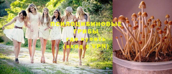 apvp Богородицк