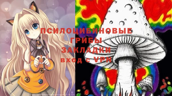 apvp Богородицк